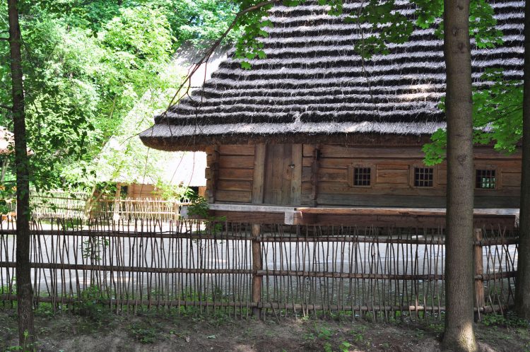 фото Шевченківського Гаю